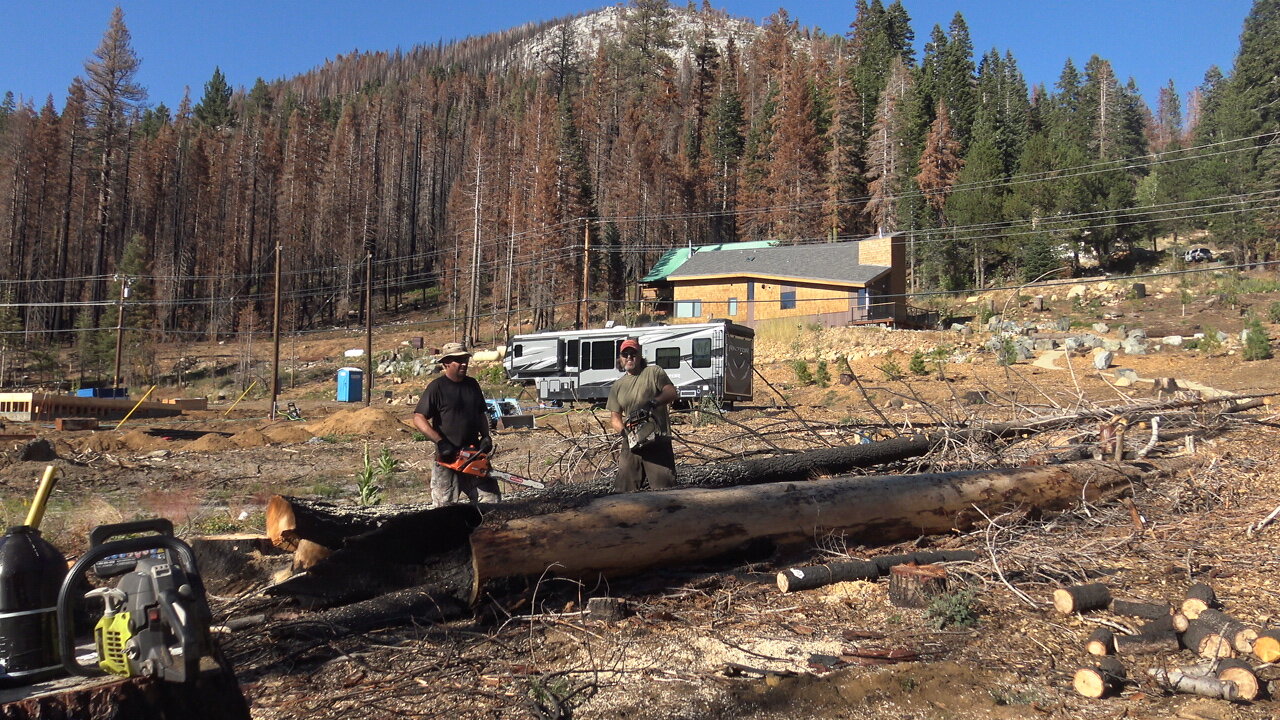Wood Cutting In Beautiful California