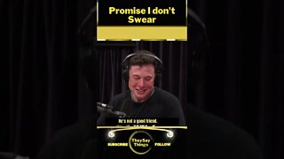 Elon Musk, I don't Swear