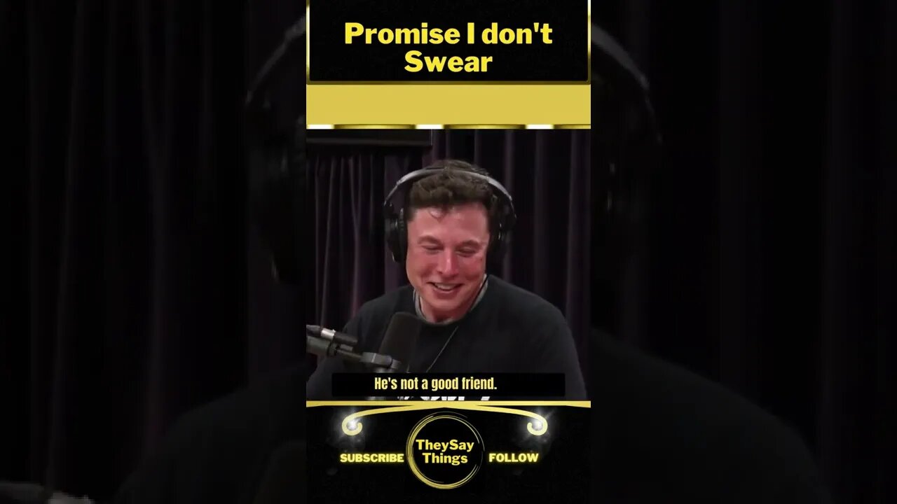 Elon Musk, I don't Swear