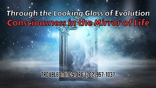 Through the Looking Glass of Evolution - Consciousness in the Mirror of Life