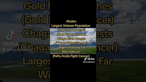 Alaska Veterans #mushrooms