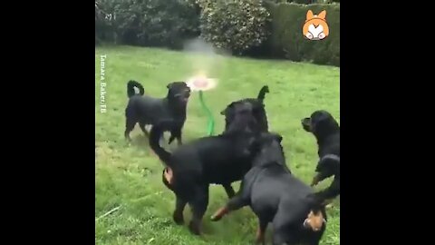YOU LOOK LIKE U NEED A BREAK (Watch and laugh)