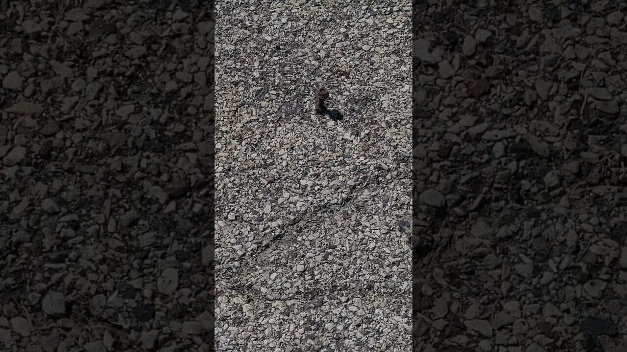 don't step on that #shorts