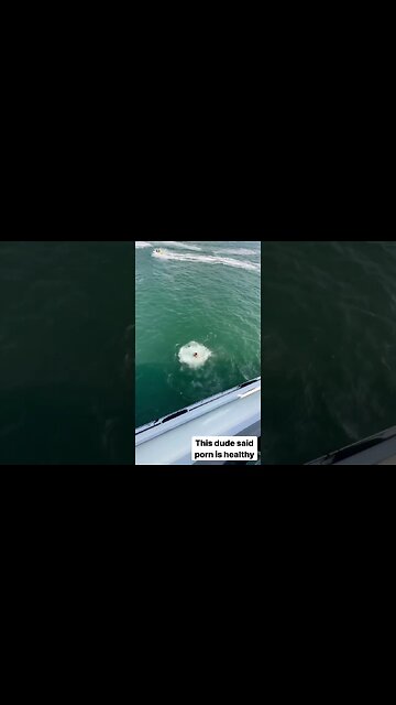 SNEAKO JUMPS OFF A YACHT!