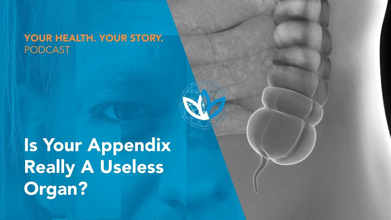 Is Your Appendix Really a Useless Organ?