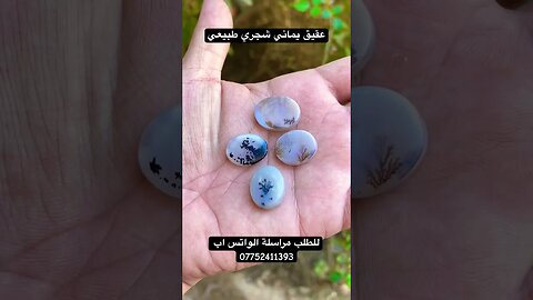 عقيق يماني شجري