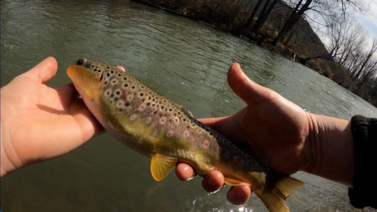 First Day of Trout Audible