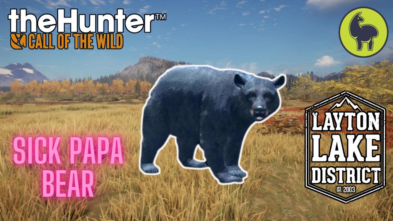 The Hunter: Call of the Wild, Hope- Sick Papa Bear, Layton Lakes (PS5 4K)