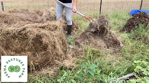 18 Day Compost: 1st Flip