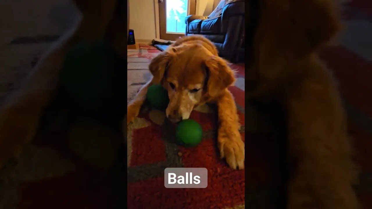 Titan age 12 Playing with his Balls #best #life