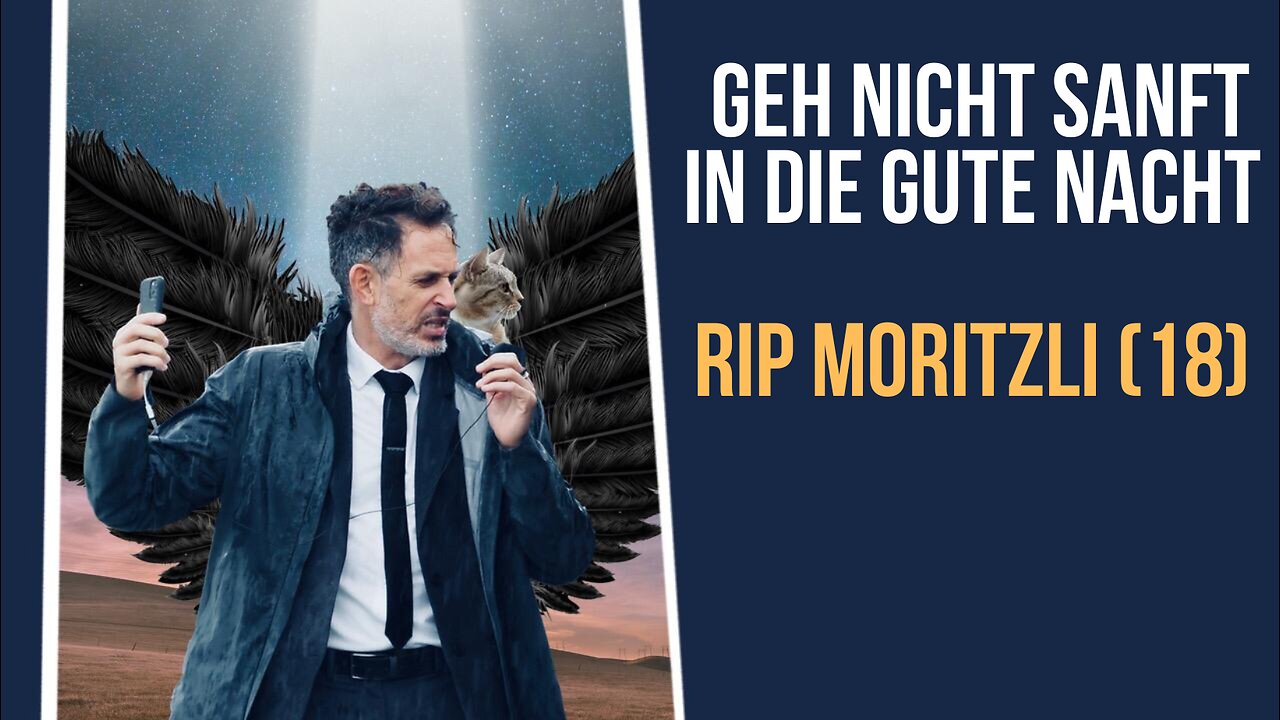 Geh (nicht) sanft in die gute Nacht! RIP Moritzli (18)