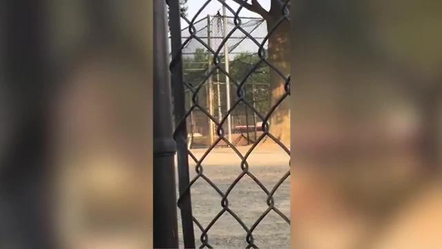 Cellphone video captures gunshots as Congress members were shot at in Alexandria