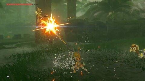 Breath of the Wild Master Mode 108