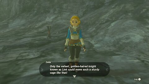 The Legend of Zelda: Tears of the Kingdom - Tying up loose ends part1 #28