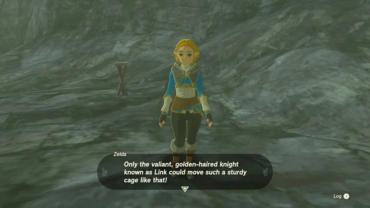 The Legend of Zelda: Tears of the Kingdom - Tying up loose ends part1 #28