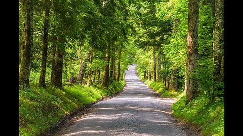 Flying Relaxing Sleep Music Deep Sleeping Music Relaxing Music Stress Relief Meditation Music