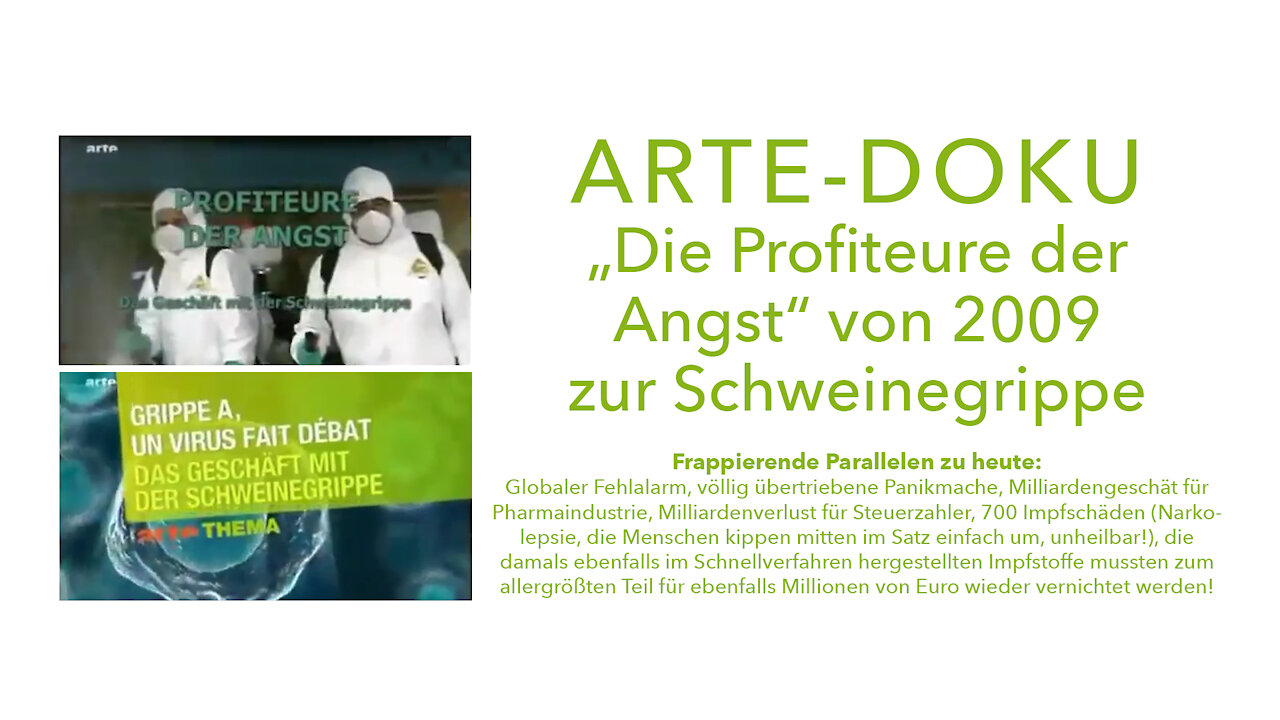 Die Profiteure der Angst (Arte-Doku von 2009 zur Schweinegrippe)