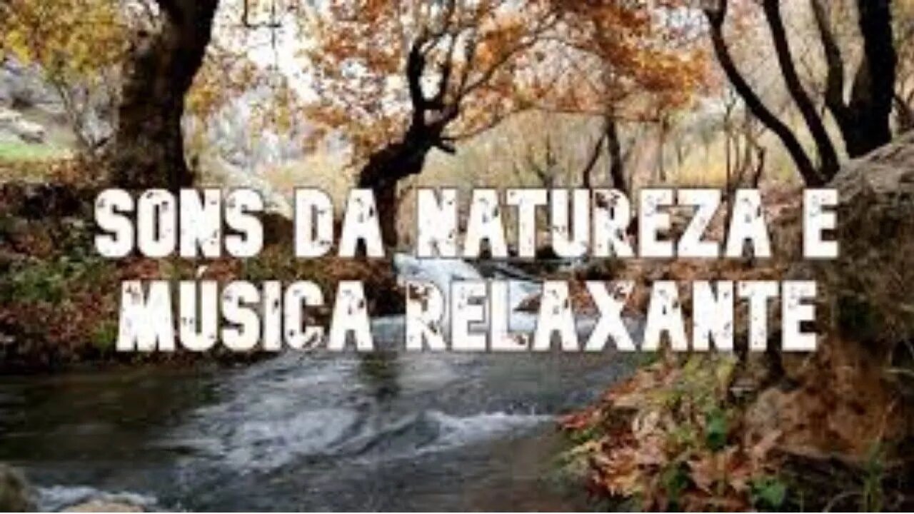 [SONS DA NATUREZA PARA MEDITAÇÃO E DESCANÇO] FREQUÊNCIA DA CURA BINAURAL 396 HZ - RELAXING MUSIC