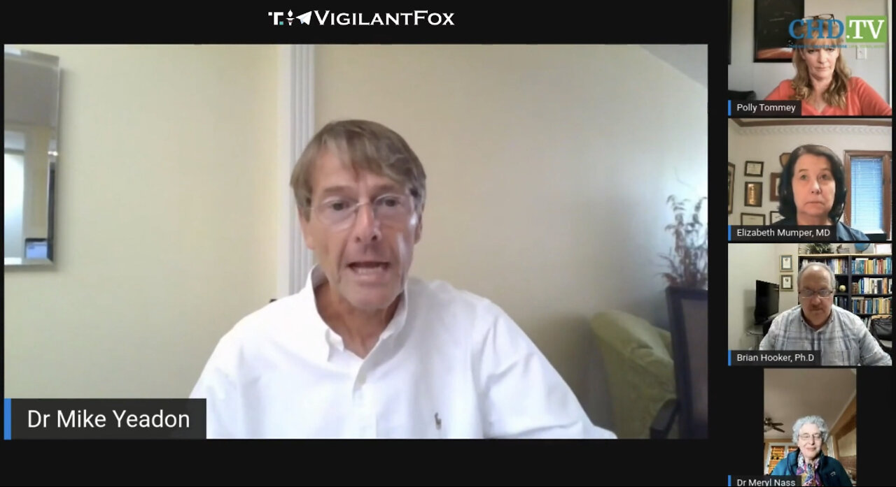 Lockdowns and Restrictions Were Unnecessary: "We Literally Did Not Need to Do Anything"