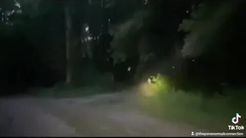 What is that?