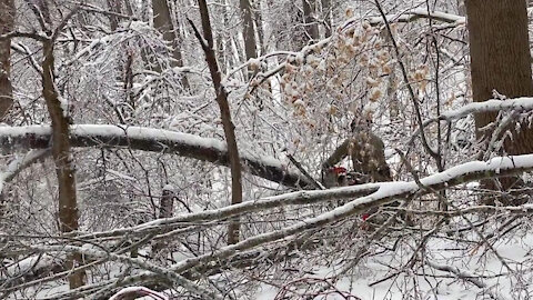 02/19/2021 W.Va. Guard Winter Storm Response
