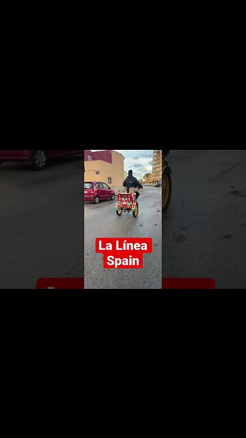 This dog on the back of the bike 😂