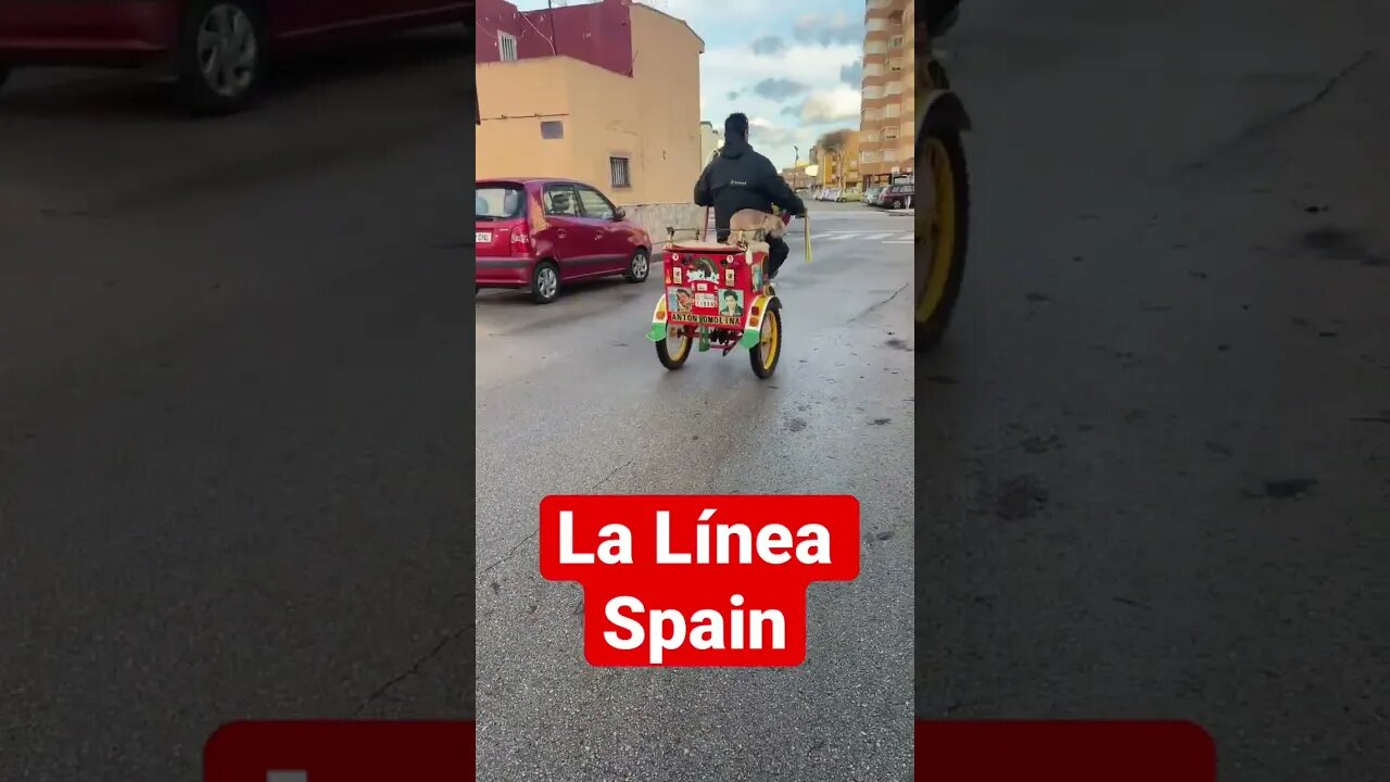 This dog on the back of the bike 😂