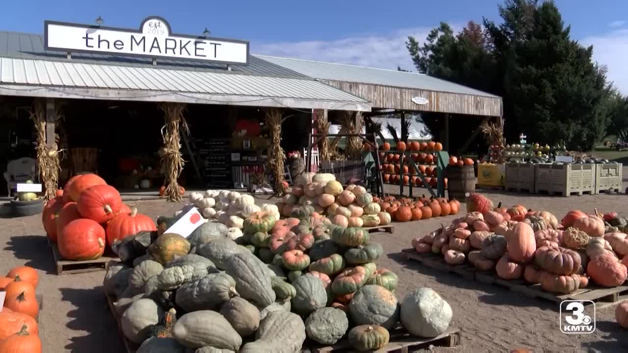 Nelson Produce Farm offers fall fun, smaller crowds