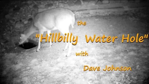 More from the Hillbilly Water Hole!