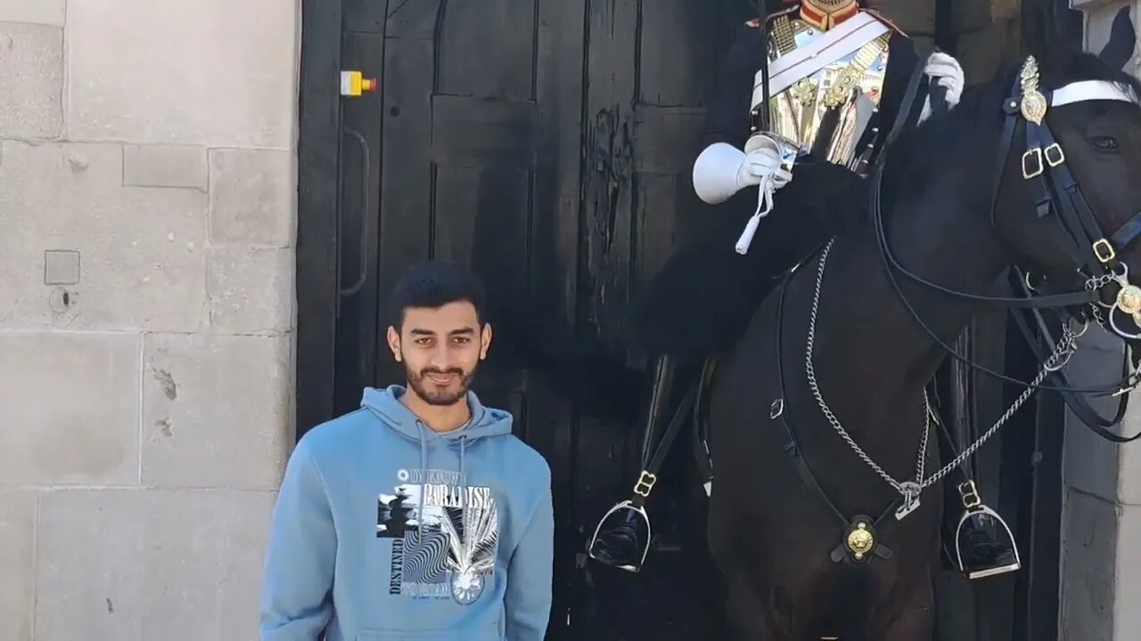 Another one touching the reins #horseguardsparade