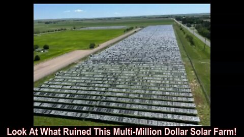 Look At What Ruined This Multi-Million Dollar Solar Farm!