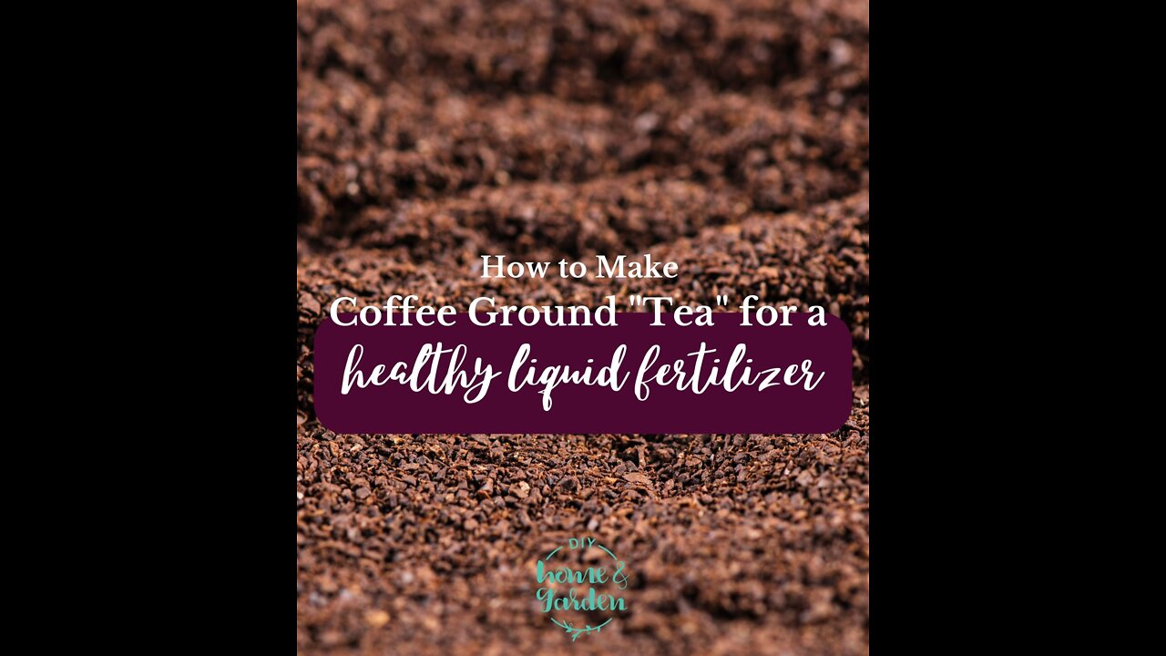 How to Make Coffee Ground "Tea" - a Healthy Liquid Garden Fertilizer