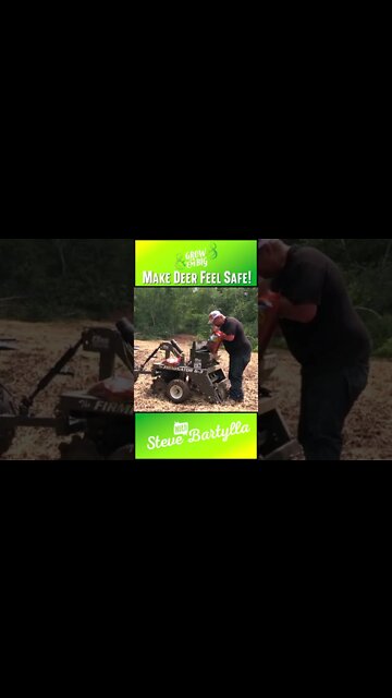 Make Deer Feel Safe! #shorts #deer #deerhunting