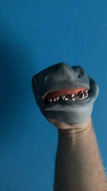 Quasimodo does a magic trick