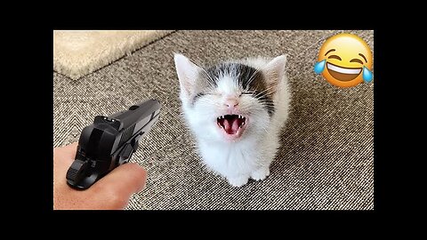 Funniest Cats And Dogs Competition #2023 😅 Funny moments