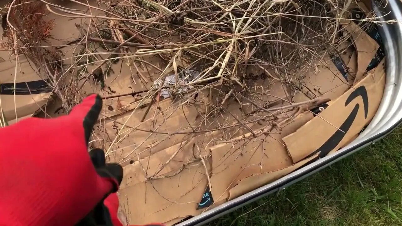 RAISED BED, OR COMPOST BIN ??!? 🤔