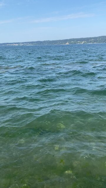 Whidbey Island view...