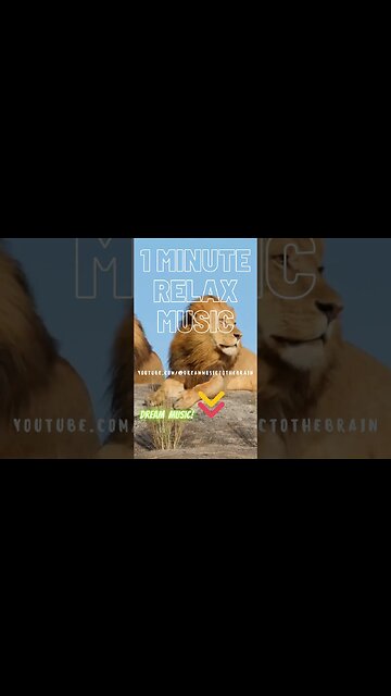 Discover Inner Peace and Calm with This Beautiful Meditation Music (Soft Piano)