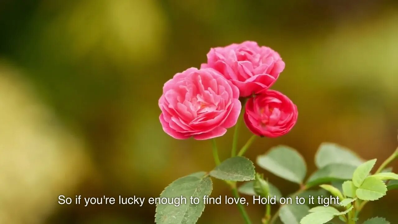 Love Is