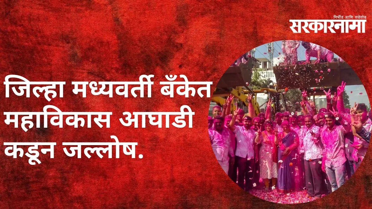 Sangli | जिल्हा मध्यवर्ती बँकेत महाविकास आघाडी कडून जल्लोष.. जे सी बी च्या साहाय्याने गुलालाची उधळण.