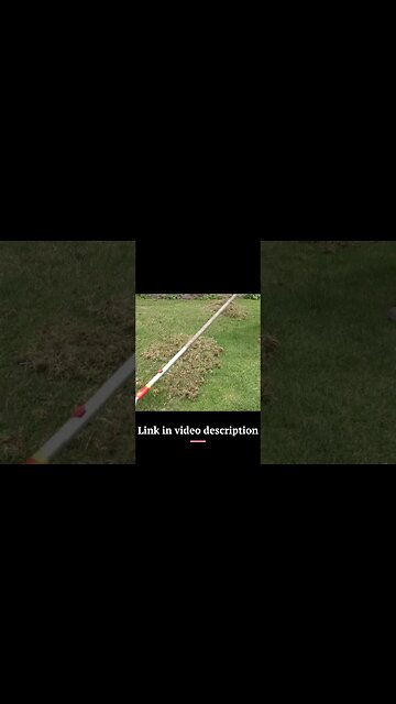 Wolf Scarifier - Awesome for Stripping Thatch and Moss from Lawns