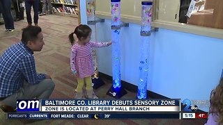 Sensory Exploration Zone debuts at local library