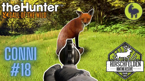 Conni #18 Hirschfelden | theHunter: Call of the Wild (PS5 4K)