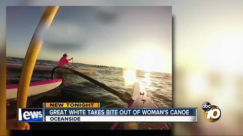 Great White takes bite out of woman's canoe
