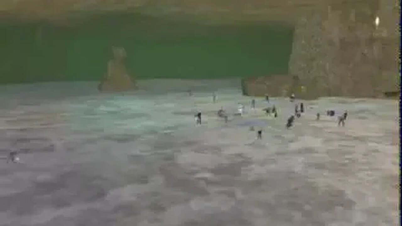 The Death of Vish