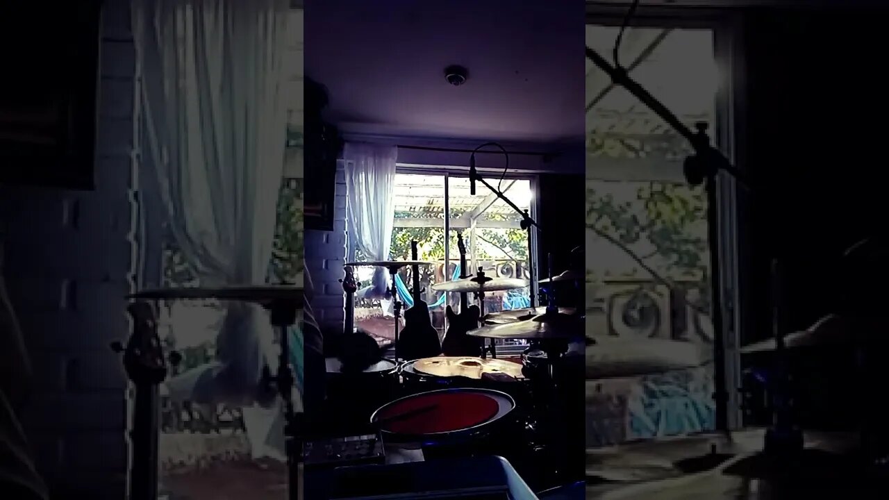 jungle druming