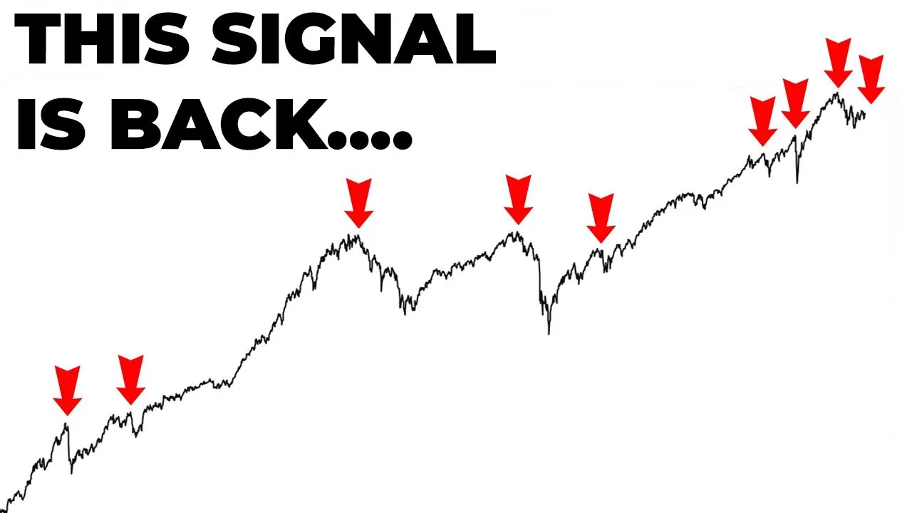 Navigating the Conflicting Signals in the Stock Market: A Risk vs Reward Analysis