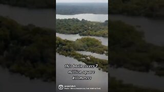 🇧🇷 Amazônia