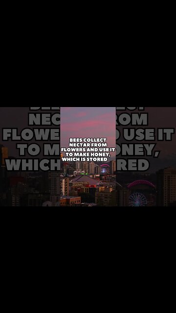 Incredible Random Facts That Will Expand Your Mind! [2023] #shorts #facts #viralshorts #fyp #life