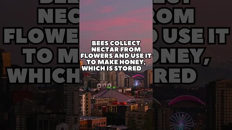 Incredible Random Facts That Will Expand Your Mind! [2023] #shorts #facts #viralshorts #fyp #life